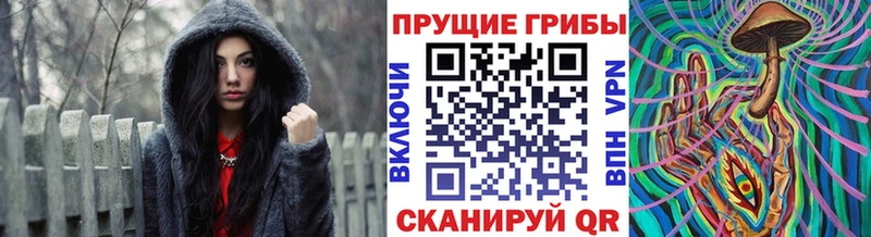 Галлюциногенные грибы GOLDEN TEACHER  купить наркоту  Остров 